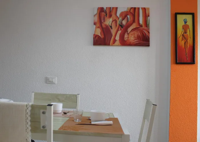 Surycan Summer Style 普拉亚戴尔雷安格莱斯