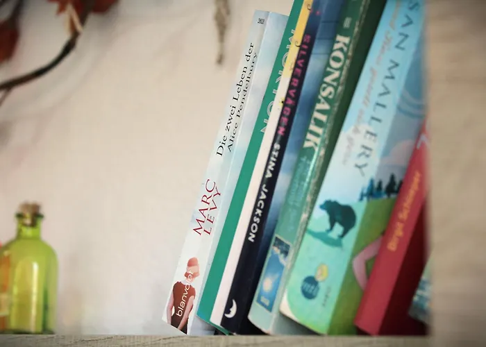 Surycan Summer Style 公寓 普拉亚戴尔雷安格莱斯