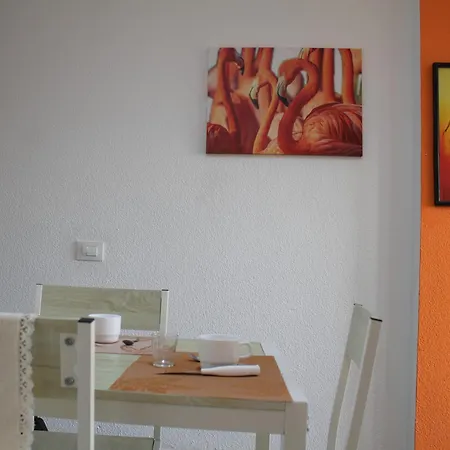 Surycan Summer Style 普拉亚戴尔雷安格莱斯