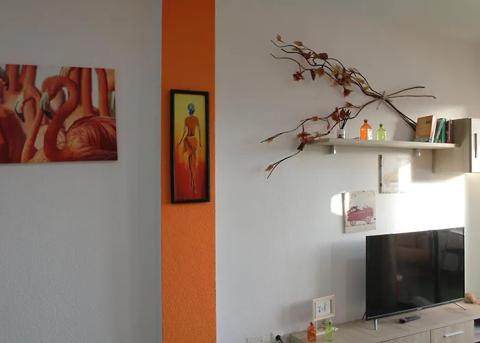 Surycan Summer Style