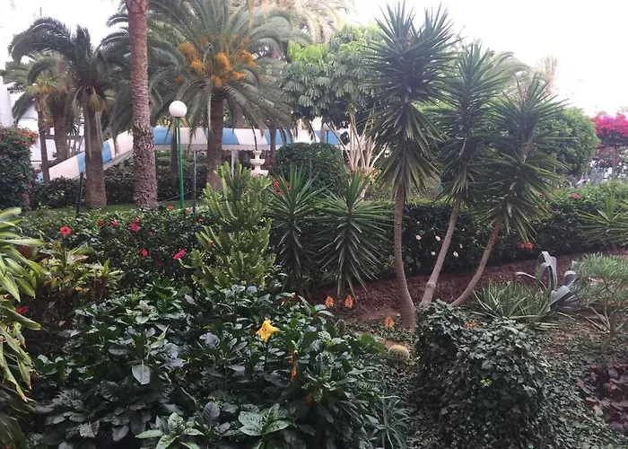 Surycan Summer Style Apartment